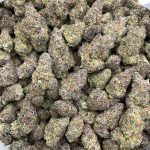 Cherry Bomb Strain