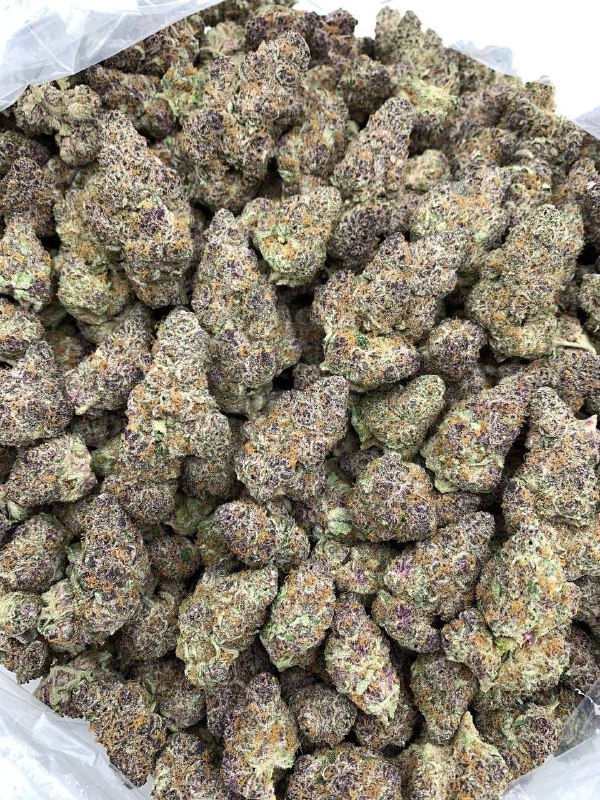 Cherry-bomb-strain.jpeg Cherry Bomb Strain - Image 1