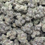 Alien Fritter Strain