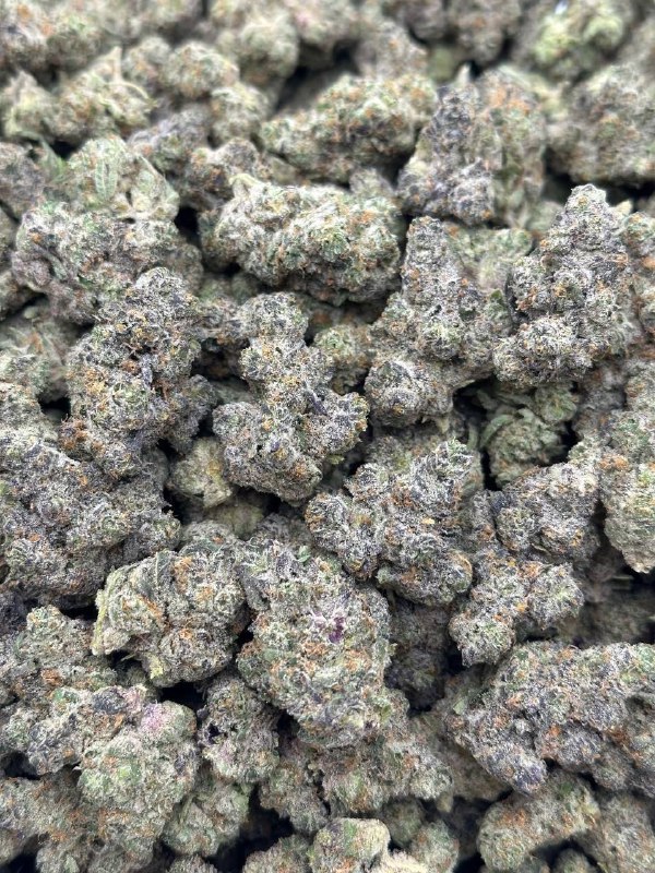alien-fritter-strain-1.jpeg Alien Fritter Strain - Image 1