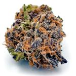 Alpha Runtz Strain