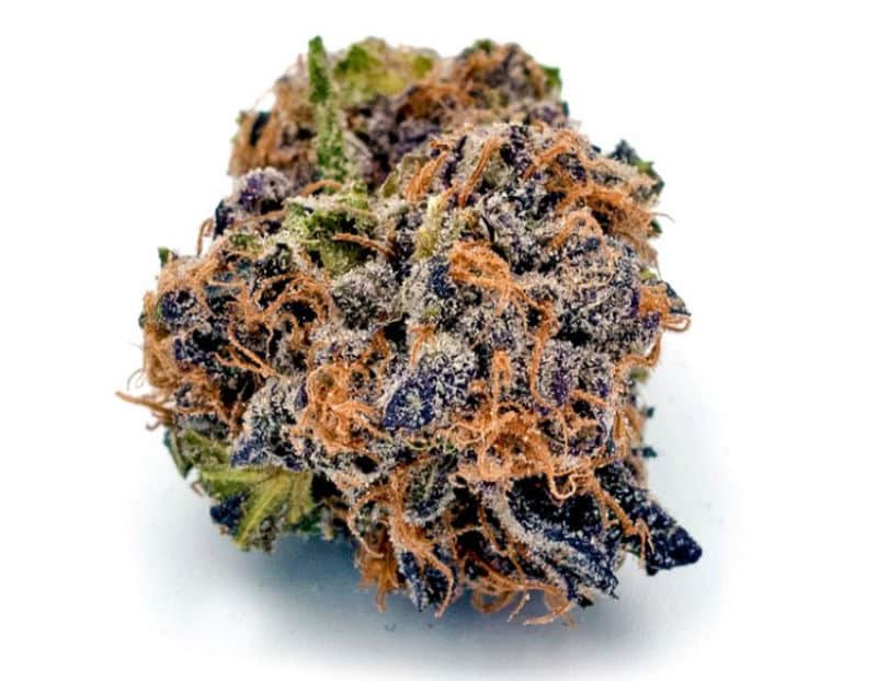 alpha-runtz-strain.jpg Alpha Runtz Strain - Image 1