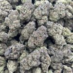 Angel Food Cake Strain