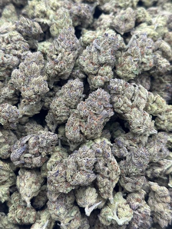 angel-food-cake-strain-1.jpeg Angel Food Cake Strain - Image 1
