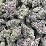 Bahama Zooties Strain