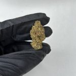Berry White Strain