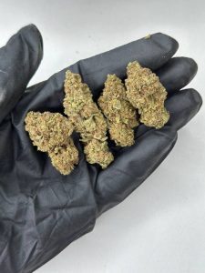 Berry White Strain - Image 3