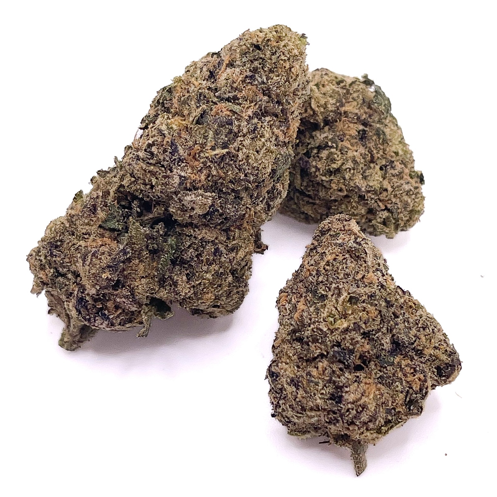 biscotti-sherbert-strain-1.jpg Biscotti X Sherbert Strain - Image 1