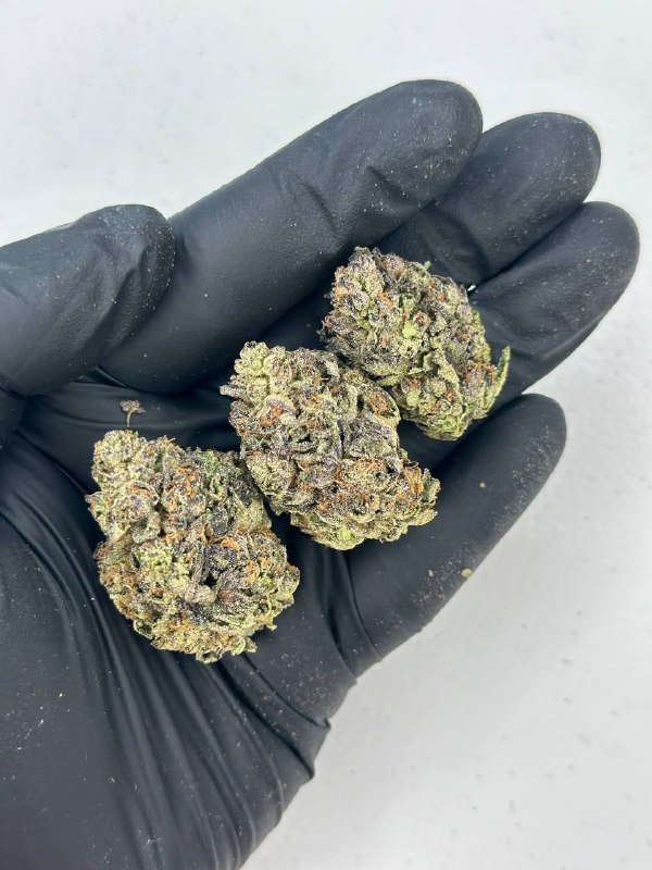 black-runtz-strain.jpeg Black Runtz Strain - Image 1