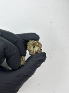 Black Runtz Strain - Image 3