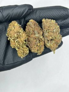 Blue Cookie Strain
