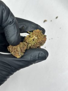 Blue Cookie Strain - Image 3