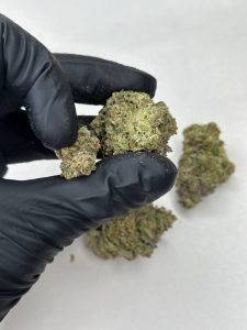Blue Tint Strain - Image 3