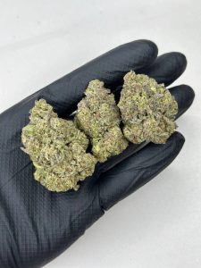 Blue Tint Strain