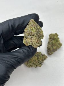 Blue Tint Strain - Image 2