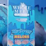 Whole Melt Extracts Blueberry Melons
