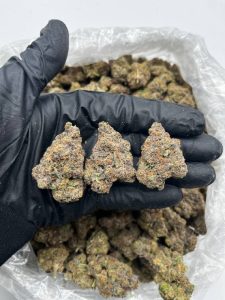 Bubblegum Drop Strain
