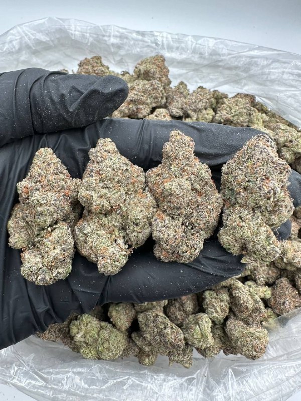 bubblegum-poppers-strain.jpeg Bubblegum Poppers Strain - Image 1