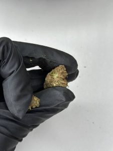 Berry White Strain - Image 2