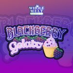 Whole Melt Extracts Blackberry Gelato Live Resin Sugar | Gelato Edition - Image 4