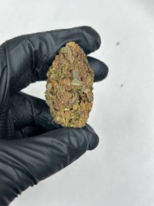 Blue Cookie Strain - Image 2