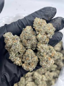 Cherry Baklava Strain - Image 2