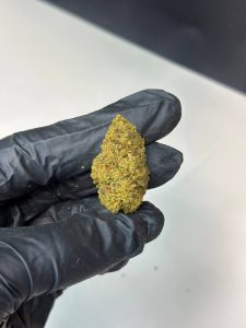 Dosi Cake Strain - Image 2