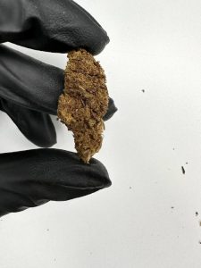 Dosi Lato Strain - Image 2