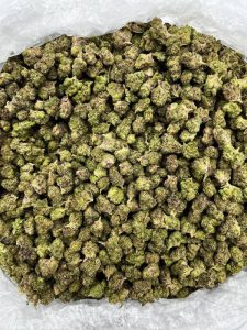Dutch Treat Strain - Image 2