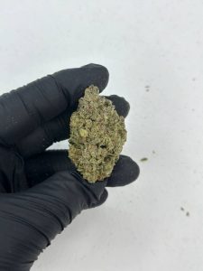 Glitter Bomb Strain - Image 2