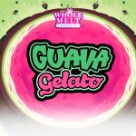 Whole Melt Extracts Guava Gelato Live Resin Sugar | Gelato Edition - Image 5
