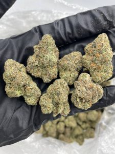 Hawaiian Runtz Strain - Image 2