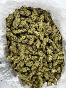 Hi-Octane Strain - Image 2