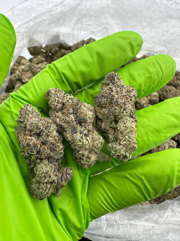 buy-icc-x-runtz-strain-online.jpeg Icc x Runtz Strain - Image 1
