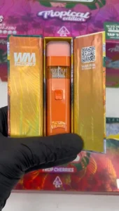 Whole Melt Extracts Mango Mochi - Image 4