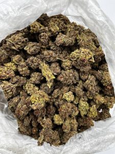 Orange Slush Strain - Image 2