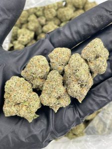 Peach Rings Strain - Image 2