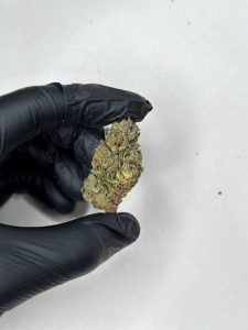 Pink Runtz Strain - Image 2