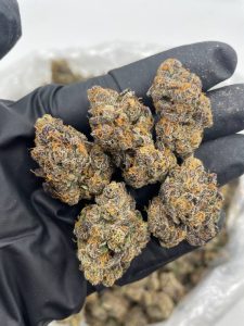 Root Beer Strain - Image 2