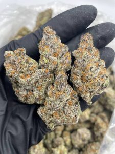 Sierra Mist Strain - Image 2