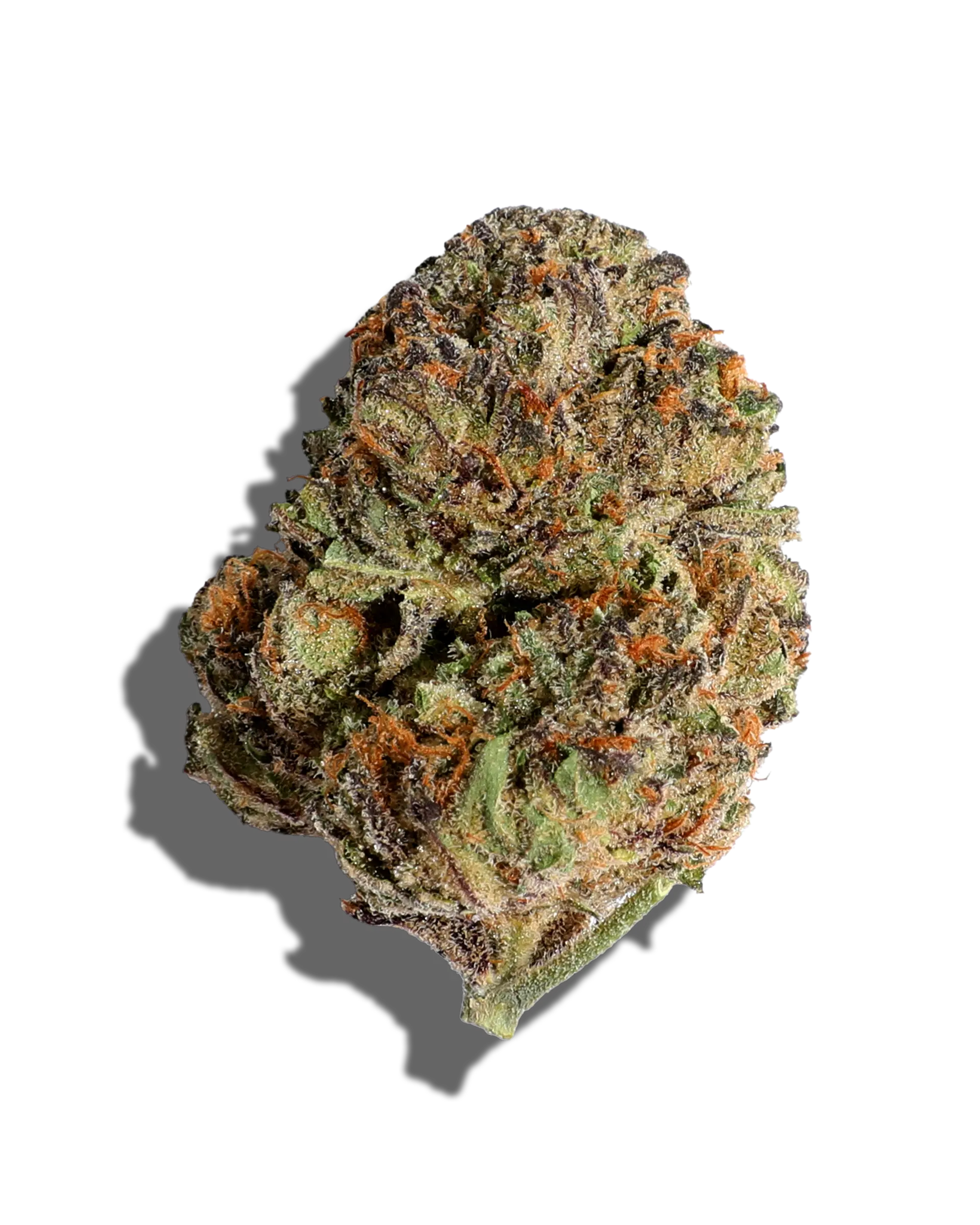 candy-fumez-strain-1-1.webp Candy Fumez Strain - Image 1