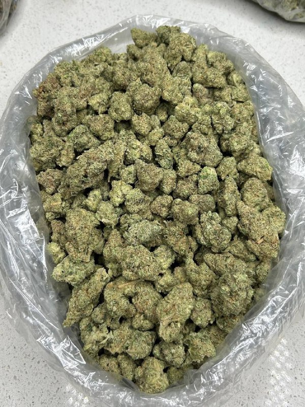 cap-junkie-strain-1.jpeg Cap Junkie Strain - Image 1