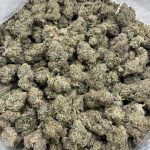 Cherry Baklava Strain