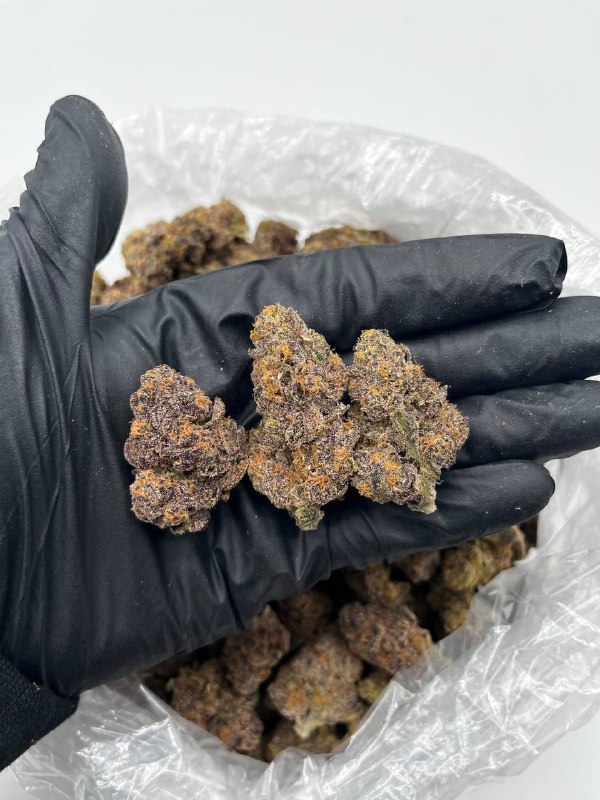 crunch-berries-strain.jpeg Crunch Berries Strain - Image 1