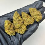 Dosi Cake Strain