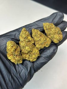 Dosi Cake Strain