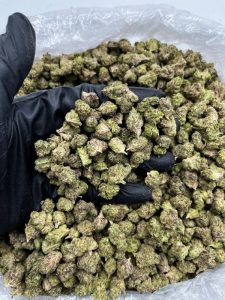 Dutch Treat Strain