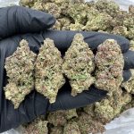 E85 Strain