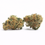 Face Off OG Strain