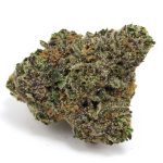 Gastro Pop Strain